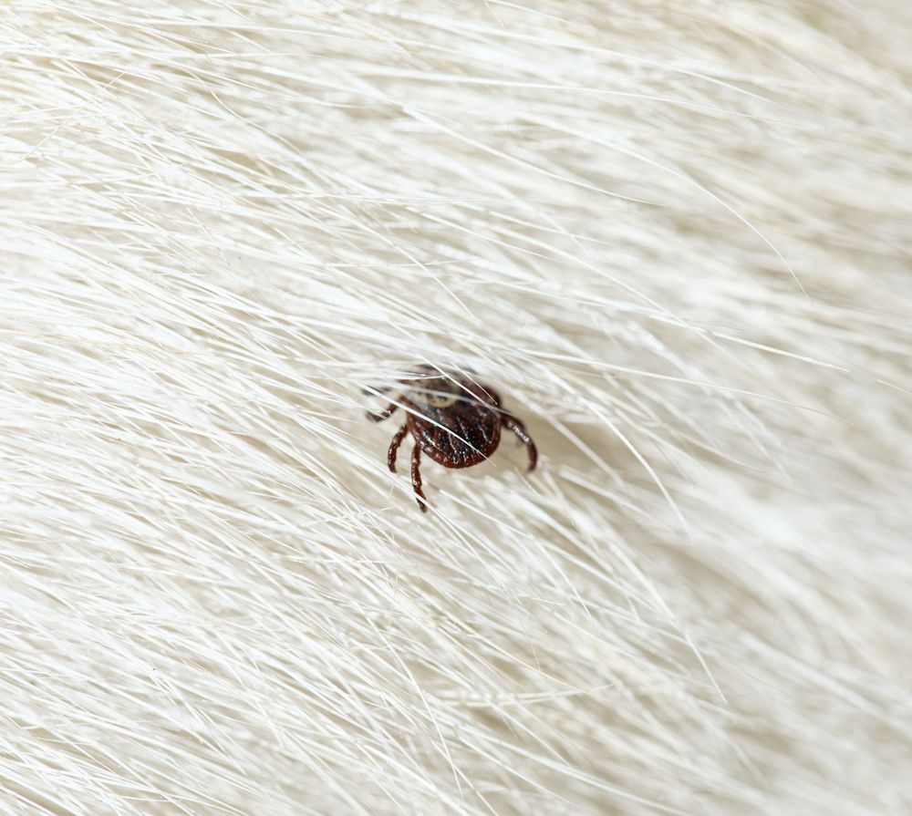 Editorial: June 25, 2021